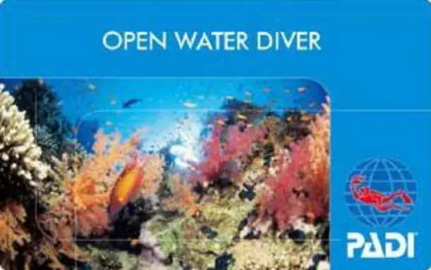 PADI Open Water Diver ライセンス 2日間コース